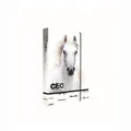 A5 Schulheftebox Jumbo GEO Wild Horse