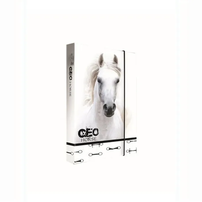 Hauptproduktbild Box na sešity A5 Jumbo GEO Wild Horse