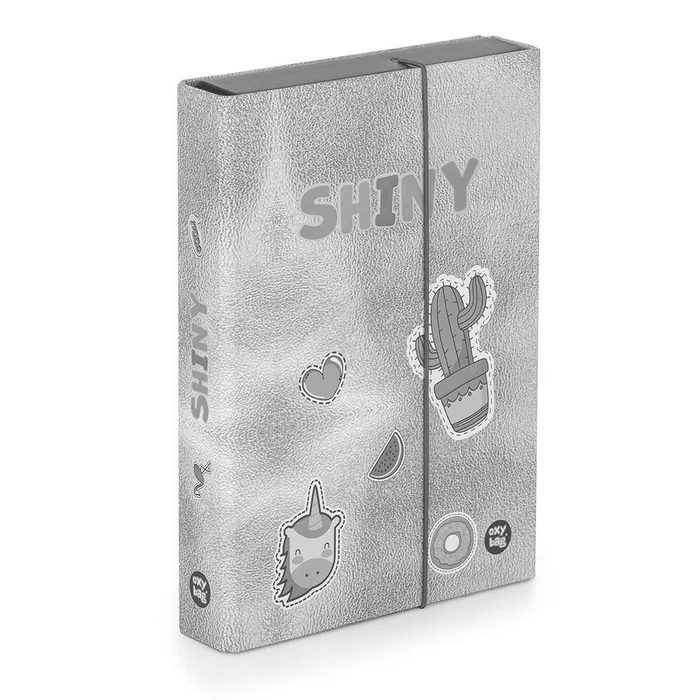 Hauptproduktbild Box na sešity A5 Jumbo OXY Style Mini Shiny