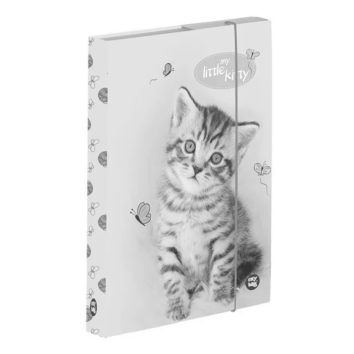 Hauptproduktbild Box na sešity A5 kočka