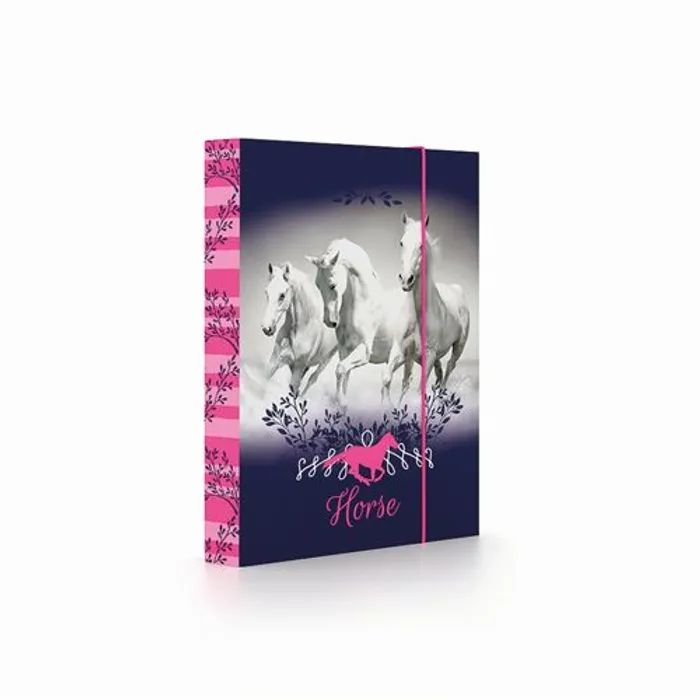 Hauptproduktbild Box na sešity A5 Kůň