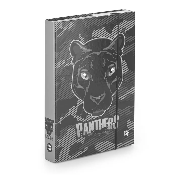 Hauptproduktbild Box na sešity A5 Panter
