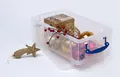 Box, Kunststoff, mit Deckel, 5 l, durchsichtig, WIRKLICH NÜTZLICH