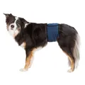 Bauchgurt für Polster für Rüden, dunkelblau M: Taille: 45-55 cm