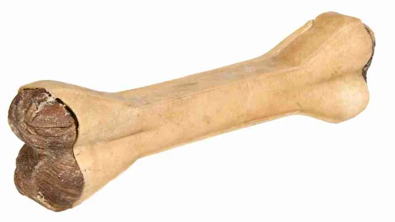 Hauptproduktbild Buvolí kost plněná dršťkami 15 cm 90 g