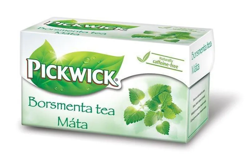 Hauptproduktbild Čaj, bylinný, 20x1,6 g, PICKWICK, mátový
