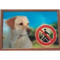 Weiteres Produktbild 3D-PSI-Tag, Labrador Retriever (Beige)