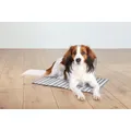 Kühlmatte für Tiere, gestreift, weiß/grau 65 x 50 cm