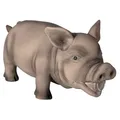 Weiteres Produktbild Grunzendes Schwein, Latex 23 cm