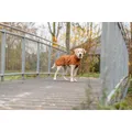 Weiteres Produktbild CityStyle pláštěnka DUBLIN, rezaváXS: 25cm, hruď: 42-62cm, krk: 32cm