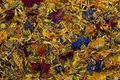 Wir geben Heu BLOSSOMING GARDEN - Kräutermischung 60 g