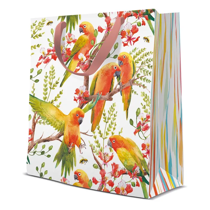 Hauptproduktbild Dárková taška střední - Exotic Birds 20x10x25 cm