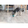 DENTAfun Ball mit Minze 5 cm TRIXIE