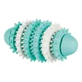DENTAfun RUGBY Zylinder 15cm TRIXIE