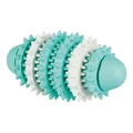 Weiteres Produktbild DENTAfun RUGBY Zylinder 15cm TRIXIE
