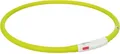 Flash USB Leuchthalsband XS-XL 70 cm / 10 mm, grün