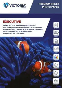 Fotopapier "Executive", für Tinten Drucker, hoch glänzend, 10x15 cm, 260 g, VICT 20 Blatt