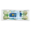 GARDEN FUN Packung Talgkugeln für Vögel á 90g (10 Stück in einer Packung)