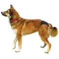 Weiteres Produktbild Heizhöschen de Luxe TRIXIE S-M: 32-39 cm
