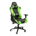 Gaming Armstuhl Red Fighter C1, grün, abnehmbare Kissen