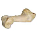 Rinderknochen weiß - extrudiert 1 Stück/36 cm
