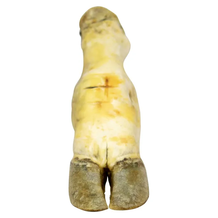 Hauptproduktbild Hovězí noha bílá - 1 ks