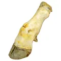 Weiteres Produktbild Rinderkeule weiß - 1 Stk