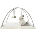 Weiteres Produktbild Spielplatz, Kratzmatte mit Federspielzeug 60x33x42cm