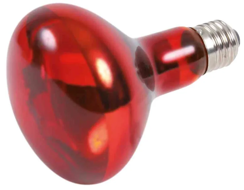 Hauptproduktbild Infrared Heat Spot-Lamp red 100 W