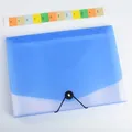 Dokumentenorganizer mit gummiertem A4-Opalglas, klarblau, 13 Fächer