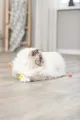 Weiteres Produktbild Igelbälle Moosgummi 3,5 cm 4 Stk