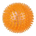 Igelball, Hartplastik (TPR) 12 cm