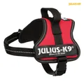 Julius-K9 Kraftgeschirr Mini-Mini/XS 40-53 cm/22 mm - rot