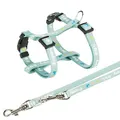 JUNIOR Geschirr mit Leine für Welpen, mint M-L: 27-45 cm/10 mm, 2,00 m