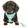 Weiteres Produktbild JUNIOR SOFT Geschirr mit Leine für Welpen, mint S-M: 26-34 cm/10 mm, 2,00 m
