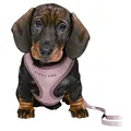 JUNIOR SOFT Geschirr mit Leine für Welpen, flieder S-M: 26-34 cm/10 mm, 2,00 m