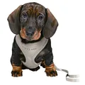 JUNIOR SOFT Geschirr mit Leine für Welpen, hellgrau S-M: 26-34 cm/10 mm, 2,00 m