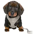 JUNIOR SOFT Geschirr mit Leine für Welpen, hellgrau S-M: 26-34 cm/10 mm, 2,00 m