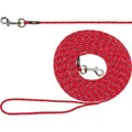Suchleine JUNIOR für Welpen, XXS-XS: 4m/4mm, rot