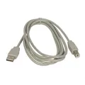 Weiteres Produktbild USB Kabel (2.0), USB A M - USB B M, 5m, schwarz, Logo, Blister