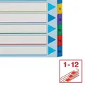 Esselte Mylar-Kartonregister mit wiederbeschreibbarem Deckblatt, A4 Maxi, gemischte Farben