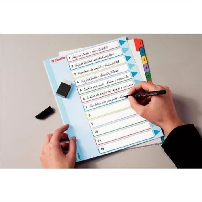 Hauptproduktbild Kartonové rejstříky Esselte Mylar s přepisovatelným předním listem, A4 Maxi, Mix barev