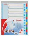 Esselte Mylar-Kartonregister mit wiederbeschreibbarem Deckblatt, A4 Maxi, gemischte Farben