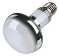 Becher (PET) glasklar durchmesser 48mm 2cl/4cl [40 St.]