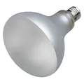 Becher (PET) glasklar durchmesser 78mm 0,25L [50 St.]