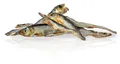 Weiteres Produktbild KIDCAT SUPER PREMIUM 100 % getrocknete echte Meersprotte – getrocknete Mini-Seesprotte, 6 cm / 40 g