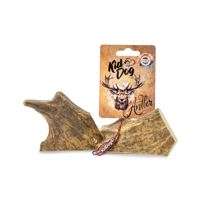 Hauptproduktbild KIDDOG Antler, dančí paroh - M