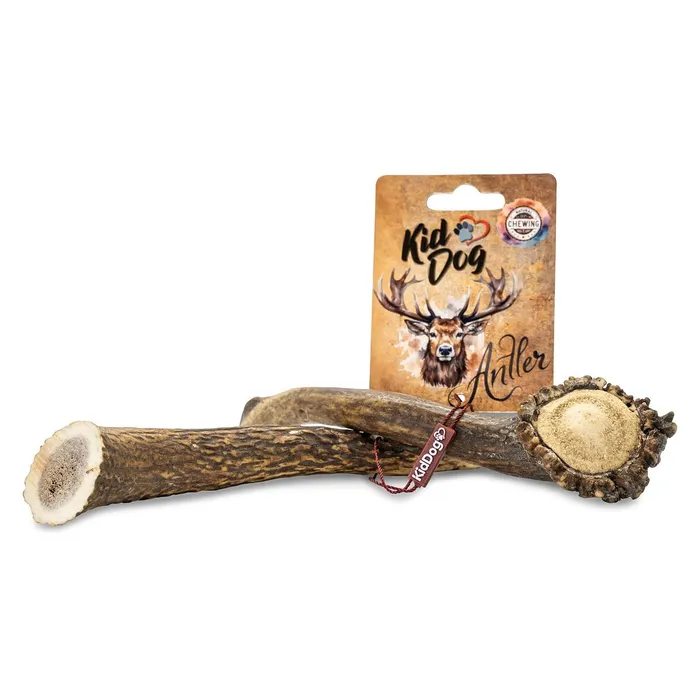 Hauptproduktbild KIDDOG Antler, jelení paroh celý - L