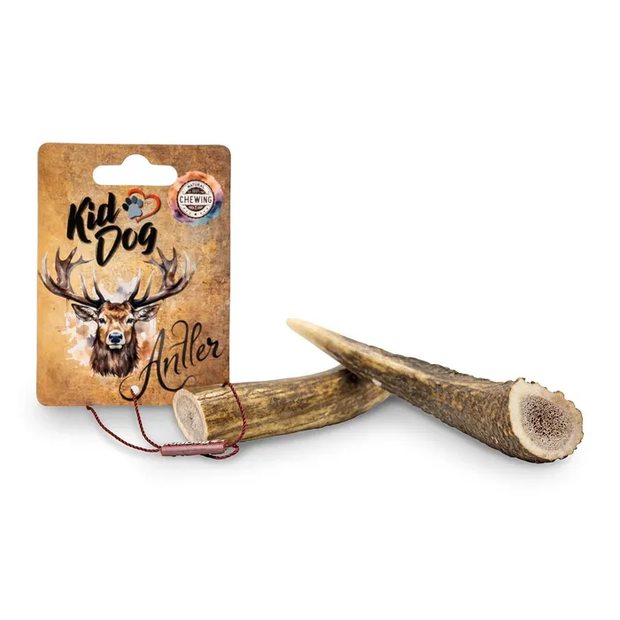 Hauptproduktbild KIDDOG Antler, jelení paroh celý - M