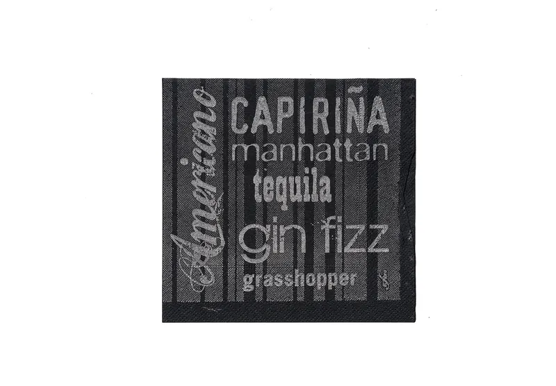 Hauptproduktbild Koktejlové ubrousky Infibra Drink 2vrstvé 25 × 25 cm černé s bílým potiskem [100 ks]